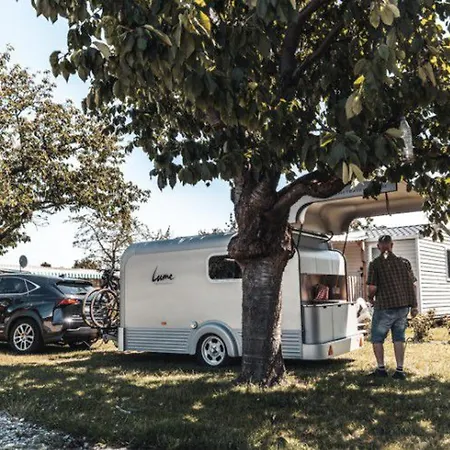 Confortable 3 Avec Poêle à Bois - Api-1-52-639